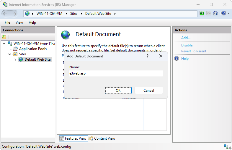 IIS Add Default Document window on Windows 11