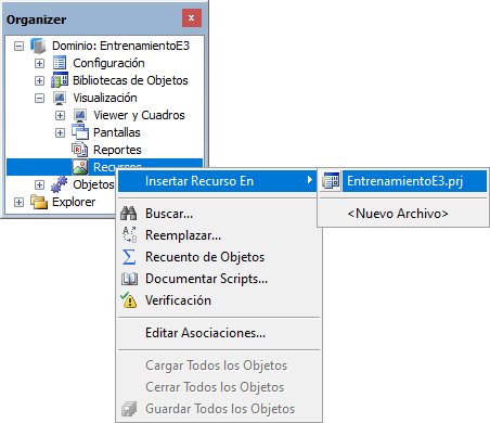 Opción Insertar Recurso en Opción Insertar Recurso en