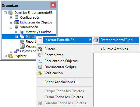Opción Insertar Pantalla en Opción Insertar Pantalla en