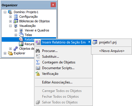 Inserindo um Relatório de Seção Inserindo um Relatório de Seção