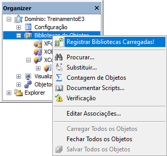 Opção Registrar Bibliotecas Carregadas