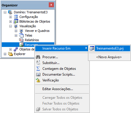 Opção Inserir Recurso em Opção Inserir Recurso em