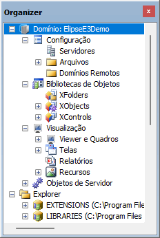 Janela do Organizer em modo Domínio