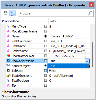 Propriedade ShowShortName Propriedade ShowShortName