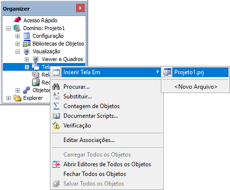 Inserindo uma Tela no modo Domínio